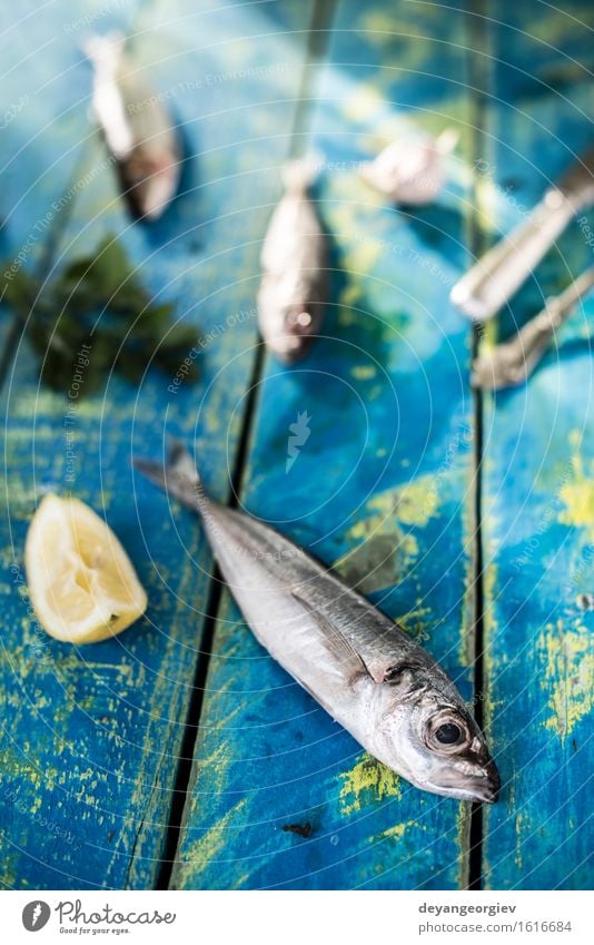 Fisch waschen. Seebrassen, Wolfsbarsch, Makrelen Meeresfrüchte Mittagessen Pfanne Koch frisch blau schwarz Zitrone roh Fett Zutaten Sardinen Mahlzeit Speise