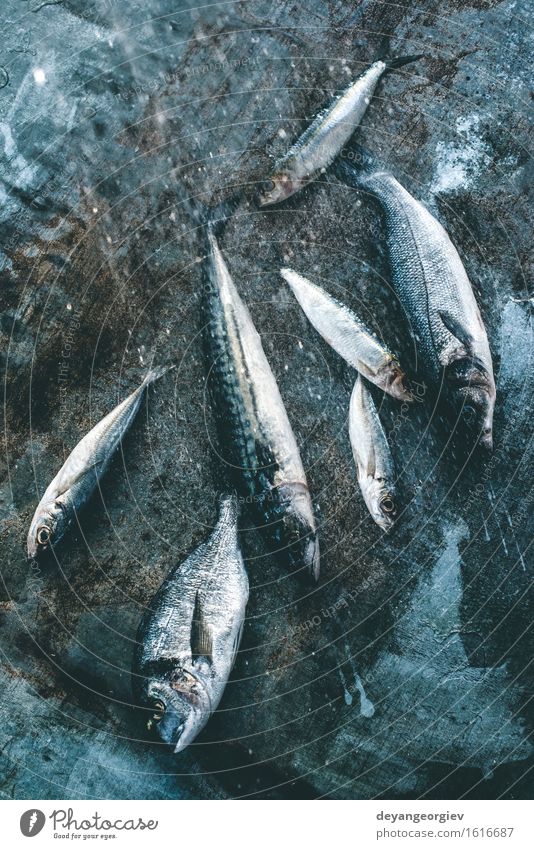 Fisch waschen. Dorade, Wolfsbarsch, Makrele und Sardinen Meeresfrüchte Mittagessen Pfanne Koch frisch blau schwarz Brasse Waschen Wasser siehe Bass Zitrone roh