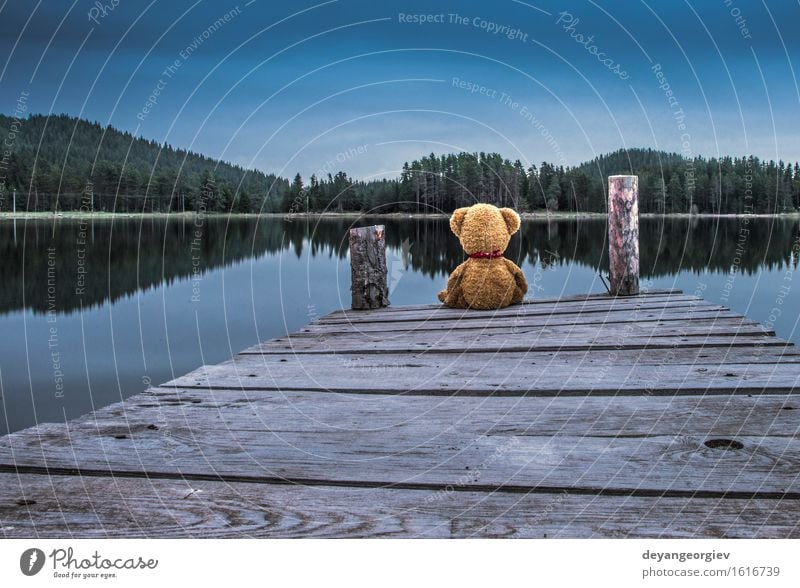 Teddybär, der auf einem Pier auf dem Ufer von einem Gebirgssee sitzt Erholung Garten Baby Freundschaft Kindheit Natur Park Spielzeug Puppe Liebe sitzen niedlich