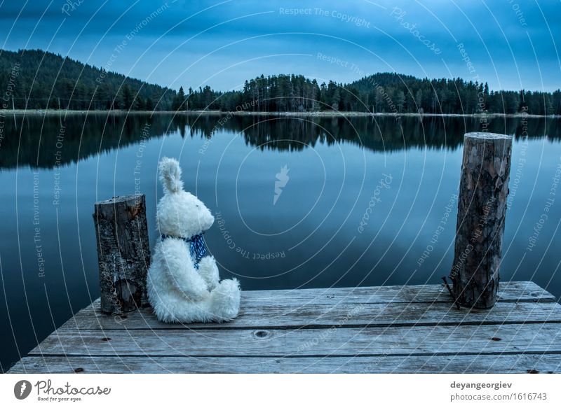 Flaumiges Spielzeughäschen, das auf einem Pier sitzt Erholung Garten Baby Freundschaft Kindheit Natur Park Puppe Teddybär Liebe sitzen niedlich retro grün weiß