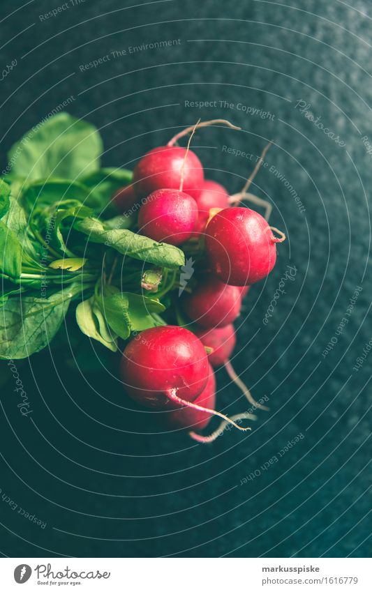 urban gardening frische bio radieschen Lebensmittel Gemüse Radieschen Bioprodukte Biologische Landwirtschaft selbstversorgung frei selbstversorger Ernährung