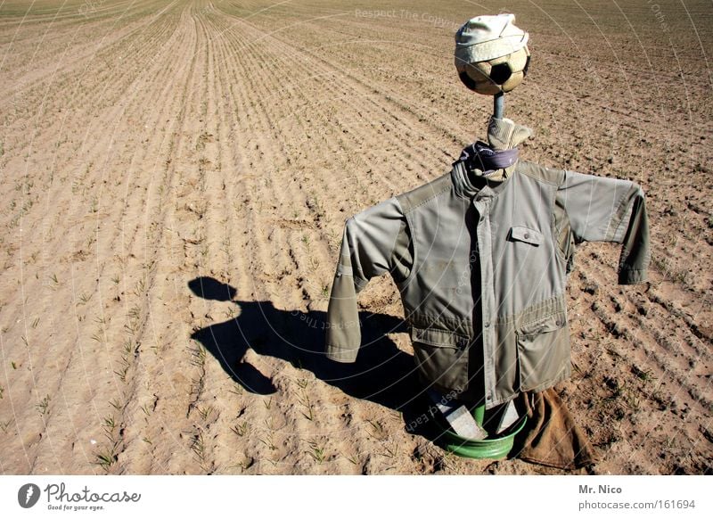 das letzte hemd Landwirtschaft Forstwirtschaft Umwelt Natur Erde Feld Hemd Jacke hässlich grau Angst Aussaat Vogelscheuche Kittel Kopfbedeckung abgeschreckt