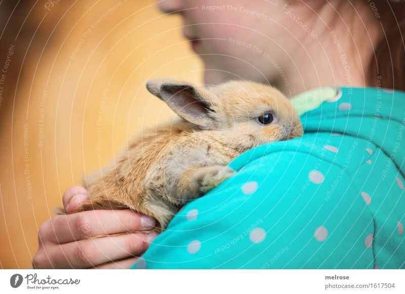 Wohlfühloase Mädchen Gesicht Nase Mund Arme Hand Finger Schulter 1 Mensch 8-13 Jahre Kind Kindheit Haustier Tiergesicht Fell Pfote Hasenlöffel Zwergkaninchen