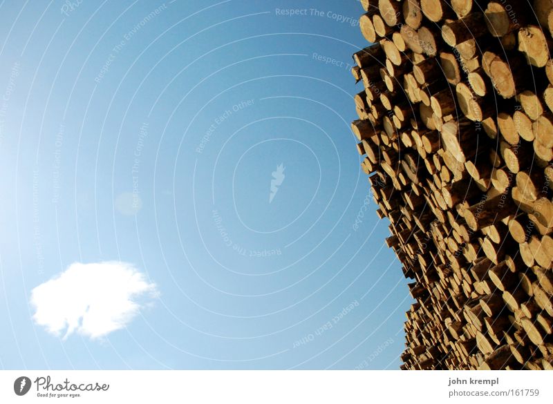 viel holz vor der hütte Holz Holzstapel Baum Baumstumpf Baumstamm Wolken Himmel blau Holzwand Forstwirtschaft Sägewerk