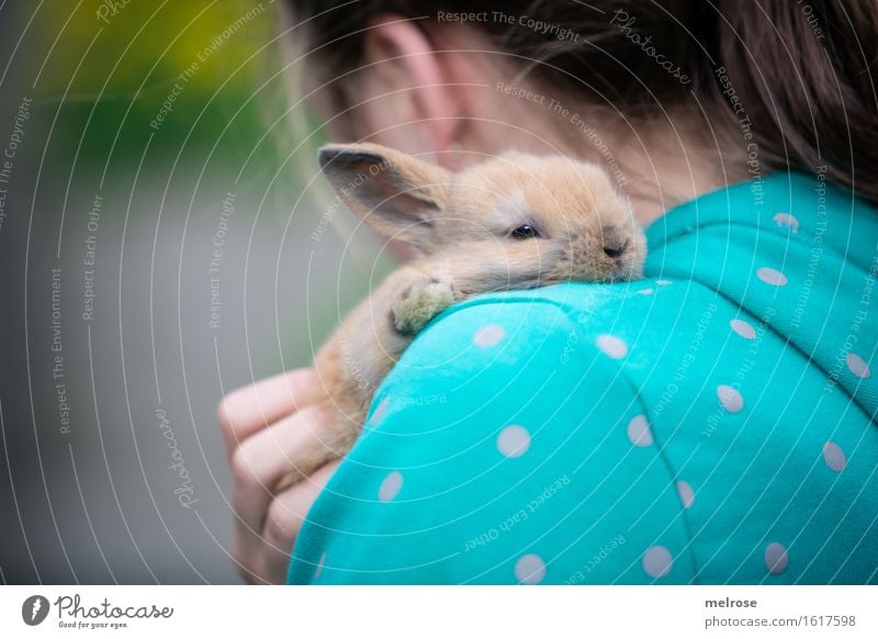 R Ü C Kblick Mädchen Kopf Haare & Frisuren Finger Schulter 1 Mensch 8-13 Jahre Kind Kindheit Garten Haustier Tiergesicht Fell Pfote Zwergkaninchen Hasenlöffel