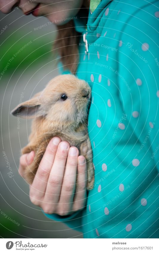 F R E U N D E Mädchen Gesicht Hand Finger Oberkörper 1 Mensch 8-13 Jahre Kind Kindheit Haustier Tiergesicht Fell Zwergkaninchen Säugetier Nagetiere Hasenlöffel