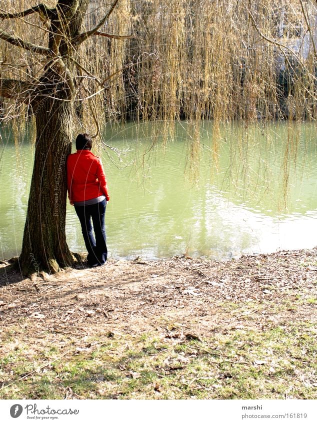 die mit der roten Jacke Farbfoto Außenaufnahme Tag Rückansicht Mensch Frau Erwachsene Rücken 1 Natur Pflanze Tier Wasser Frühling Wetter Wiese Küste Flussufer