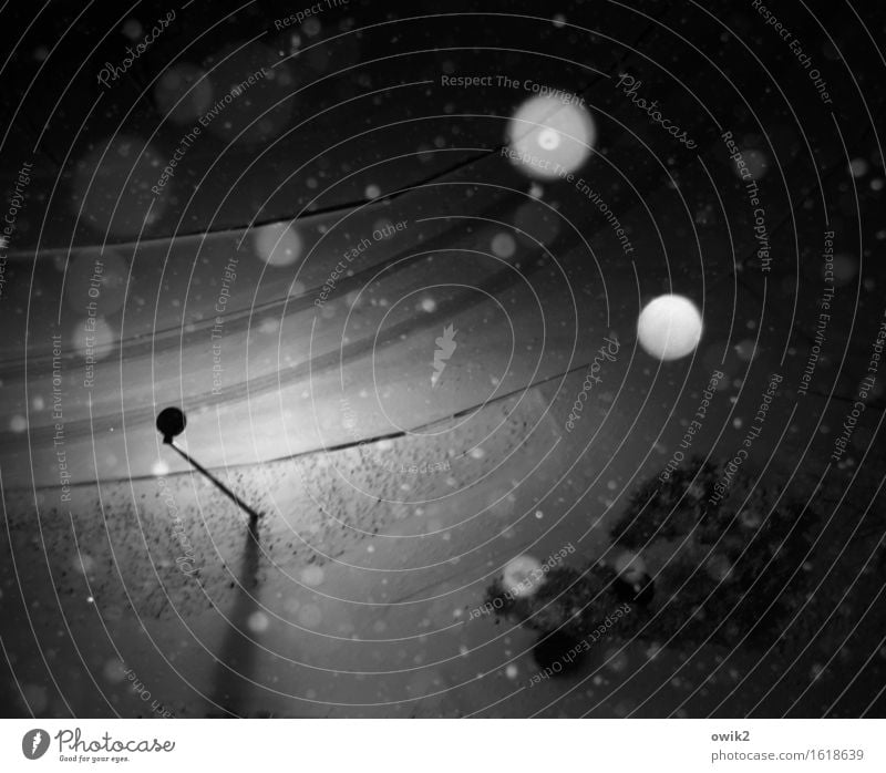 Sternenstaub Umwelt Natur Winter Klima Schönes Wetter Eis Frost Schnee Schneefall Sträucher Verkehrswege Straße Bürgersteig Fußweg Straßenbeleuchtung