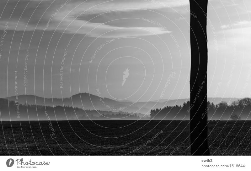 Lausitzer Horizont Umwelt Natur Landschaft Pflanze Erde Himmel Wolken Klima Schönes Wetter Nebel Baum Baumstamm Feld Wald Hügel Idylle Ferne Schwarzweißfoto