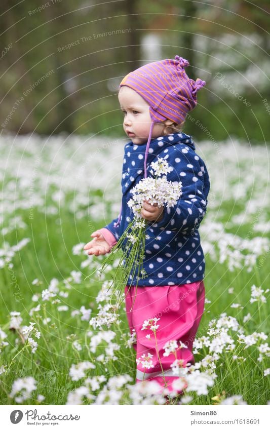 Flower Power feminin Kind Kleinkind Mädchen Kindheit 1 Mensch 1-3 Jahre Mütze blond ästhetisch schön Blumenwiese Punkt gepunktet pflücken Freude Frühling