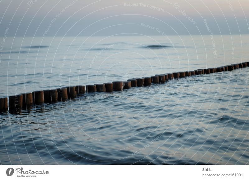 Man braucht nur eine Insel Hiddensee Wellen Dämmerung Buhne ruhig blau Denken Abend Wasser Meer Frieden