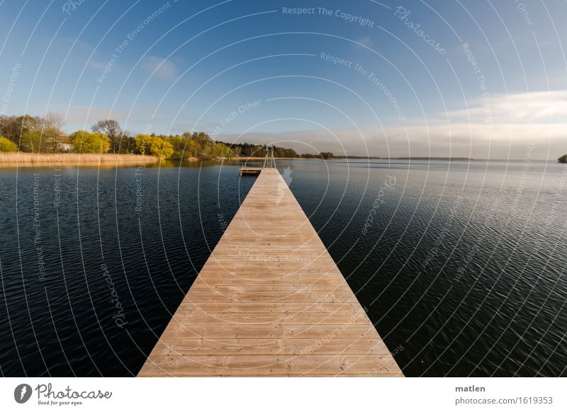 catwalk Natur Landschaft Pflanze Wasser Himmel Wolken Horizont Sonnenlicht Frühling Wetter Schönes Wetter Baum Seeufer Menschenleer blau braun grün weiß