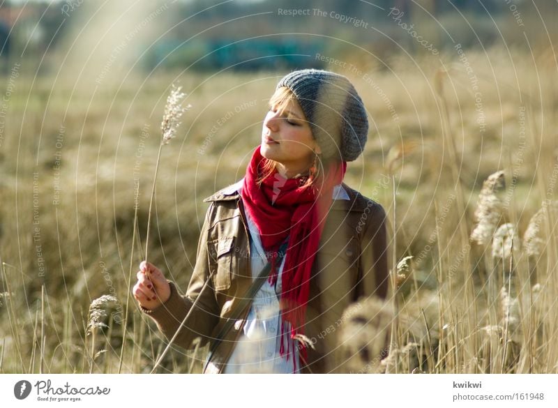 wiese + frühling Glück Zufriedenheit Erholung Sommer Frau Erwachsene Landschaft Frühling Wiese Mütze beobachten Blühend entdecken träumen dehydrieren Stroh