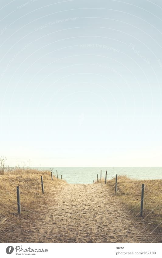 Zum Strand ruhig Ferne Freiheit Umwelt Natur Landschaft Urelemente Sand Luft Himmel Wolkenloser Himmel Horizont Sommer Klima Schönes Wetter Küste Ostsee Meer