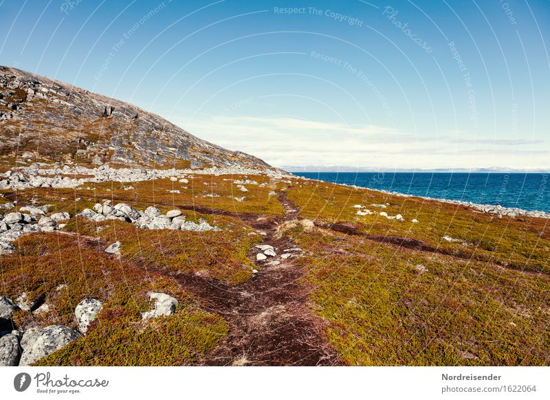 Wanderpfade Ferne Freiheit Meer wandern Natur Landschaft Himmel Sonne Sommer Schönes Wetter Gras Hügel Felsen Küste Wege & Pfade Freundlichkeit Fernweh