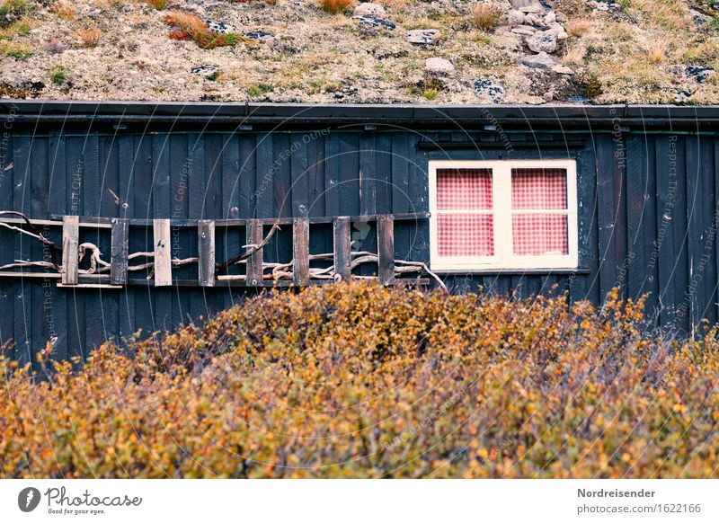 Berghütte Ferien & Urlaub & Reisen Berge u. Gebirge wandern Werkzeug Leiter Pflanze Gras Sträucher Haus Hütte Gebäude Architektur Mauer Wand Fassade Fenster