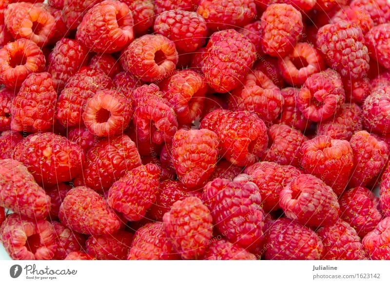 Frische rote Himbeere des Hintergrundes Vegetarische Ernährung frisch Himbeeren süß Beeren Lebensmittel Gesundheit roh organisch Gartenmaterial Farbfoto