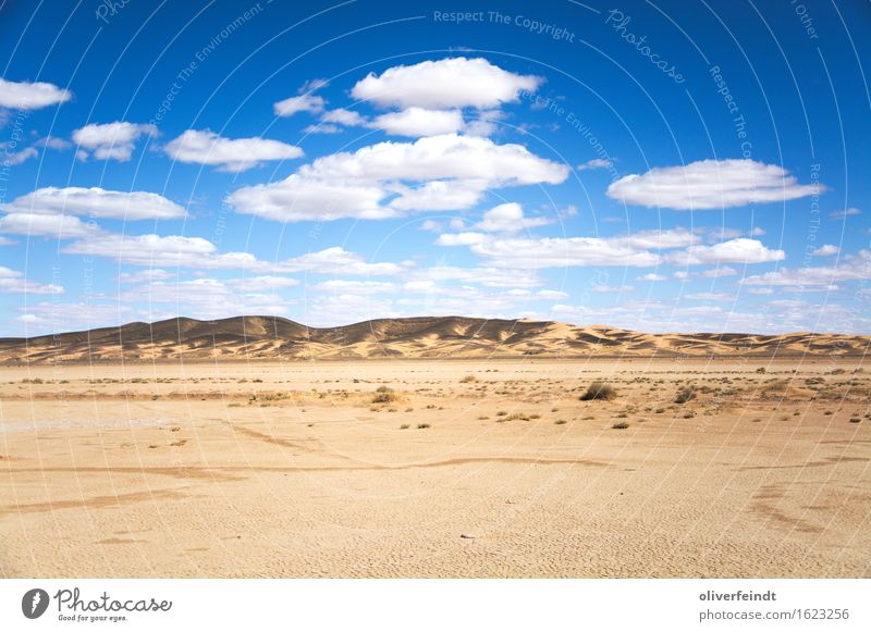 Marokko Ferien & Urlaub & Reisen Ausflug Abenteuer Ferne Freiheit Expedition Umwelt Natur Landschaft Erde Sand Himmel Wolken Horizont Sommer Klima