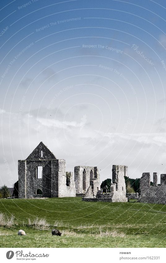 irland Farbfoto Außenaufnahme Menschenleer Textfreiraum oben Textfreiraum Mitte Hintergrund neutral Tag Landschaft Gras Wiese Burg oder Schloss Ruine Bauwerk