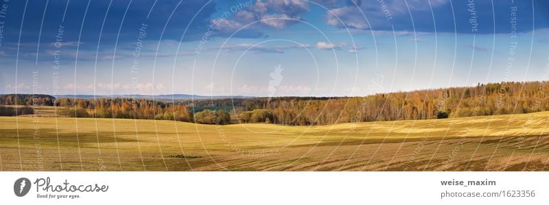 Sonnige Frühlingsfelder am Abend schön Sommer Natur Landschaft Luft Himmel Wolken Schönes Wetter Baum Gras Wiese Feld Wald Hügel Wachstum hell natürlich