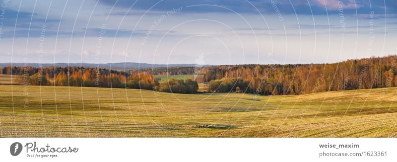 Sonniges Feld im Frühjahr schön Sommer Natur Landschaft Himmel Wolken Frühling Schönes Wetter Gras Wiese Wald Hügel Wachstum hell blau braun gelb grün