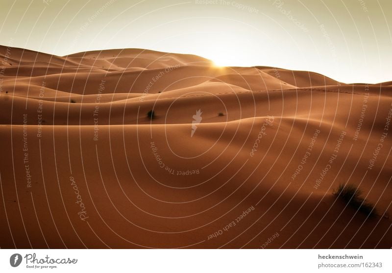 You are here Sonne Erde Sand Horizont Klimawandel Wärme Gras Wüste heiß trocken Vergänglichkeit leer Ödland Düne Sonnenuntergang Sahara Marokko Afrika