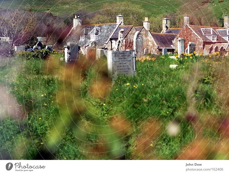 Verschlafenes Nest Menschenleer Textfreiraum unten Tag Unschärfe Häusliches Leben Haus Schönes Wetter Gras Sträucher Dorf Schornstein Grabstein Zeichen