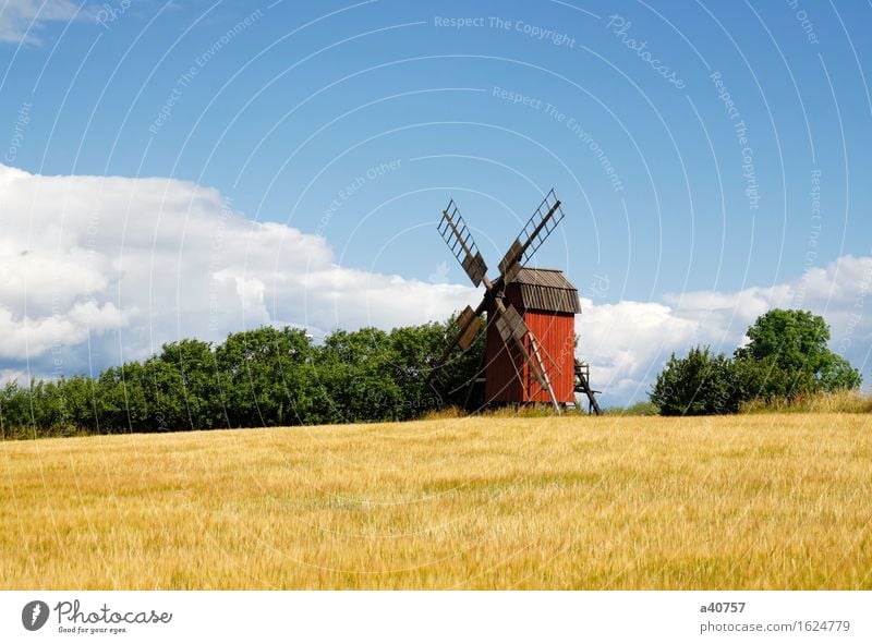 Windmühle Schweden Hallig Oland Landschaft Kultur Sonne Natur berühmter Ort Architektur Ackerbau ländlich Himmel Hügel Skandinavien Blume Frühling alt