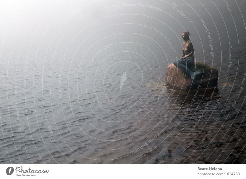 Licht am Horizont Junge Frau Jugendliche Natur Landschaft Wasser Frühling Wetter Nebel See Mummelsee Sehenswürdigkeit Stein Denken Blick außergewöhnlich kalt