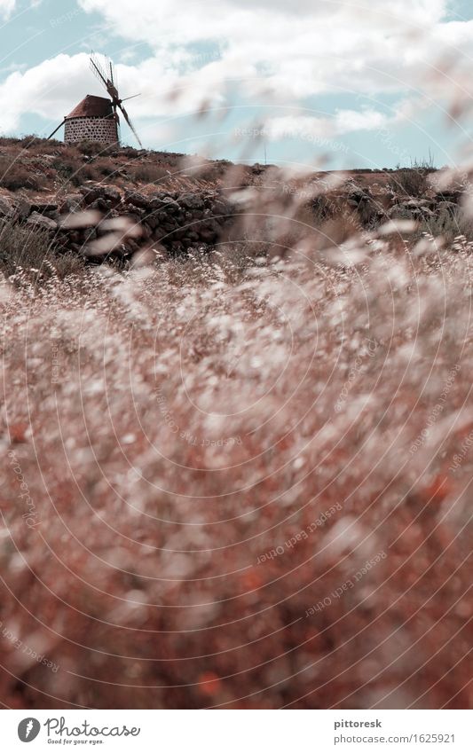 Wind II Kunst Kunstwerk ästhetisch Feld Feldrand Windstille Windkraftanlage Windrad Windmühle Getreide Spanien wehen Sommer Herbstwind Mauer Idylle Sommerurlaub