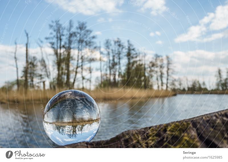 Im Auge des Betrachters Freizeit & Hobby Ferien & Urlaub & Reisen Ausflug Freiheit Sommer Seeufer Teich Fluss Glas Kugel Frühlingsgefühle Glaskugel Flussufer