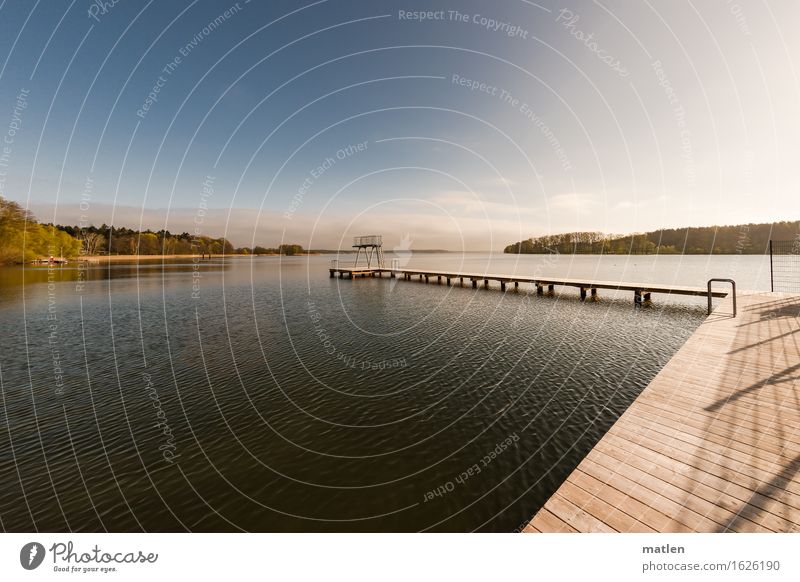 wartend Landschaft Wasser Himmel Wolkenloser Himmel Horizont Frühling Wetter Schönes Wetter Baum Wald Küste Seeufer Strand Bucht Menschenleer Schwimmbad blau