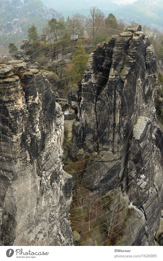 Sandsteingebirge Freizeit & Hobby Ferien & Urlaub & Reisen Ausflug Abenteuer Ferne Berge u. Gebirge wandern Umwelt Natur Landschaft Urelemente Erde Wetter Nebel