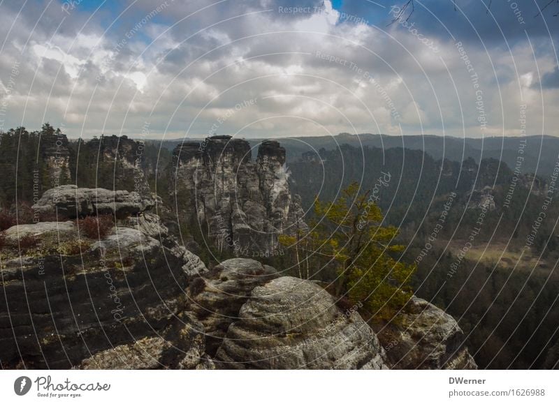 Sandsteingebirge Freizeit & Hobby Ferien & Urlaub & Reisen Tourismus Ausflug Abenteuer Ferne Freiheit Berge u. Gebirge wandern Umwelt Natur Landschaft