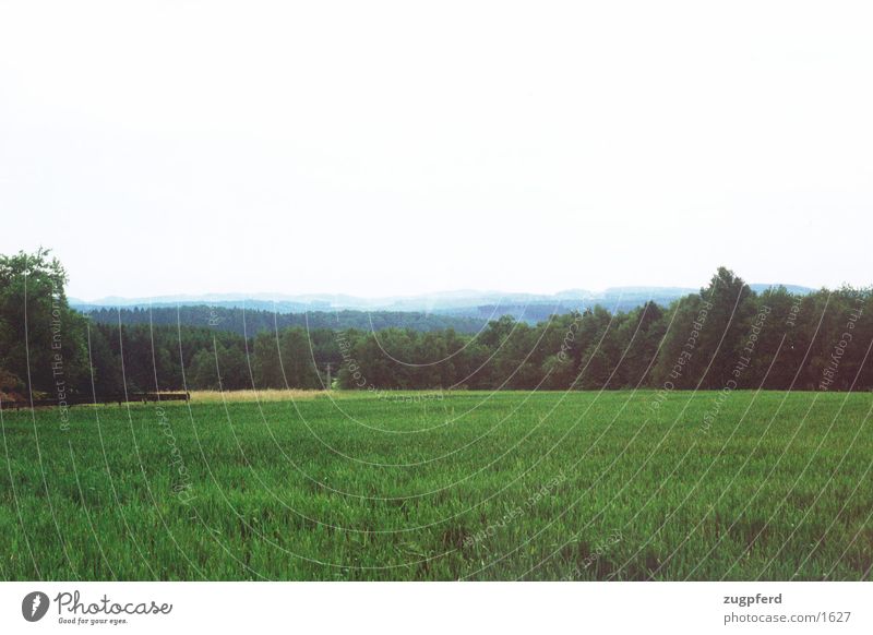 Ausblick Sauerland Wiese Aussicht Wald Natur