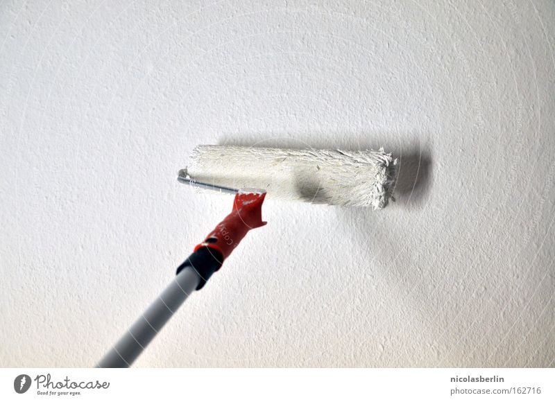 Wildcat streichen Farbe Maler weiß Aktion Handwerk Langeweile rollern malern malerrolle malermeister white paint move Umzug (Wohnungswechsel) Raum room neu Wand