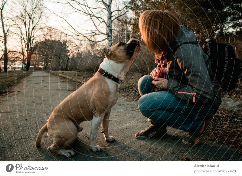 Junge Frau zeigt ihrem Hund im Abendpark Liebe. Lifestyle Ferien & Urlaub & Reisen Ausflug Abenteuer Freiheit Städtereise Jugendliche 1 Mensch 18-30 Jahre