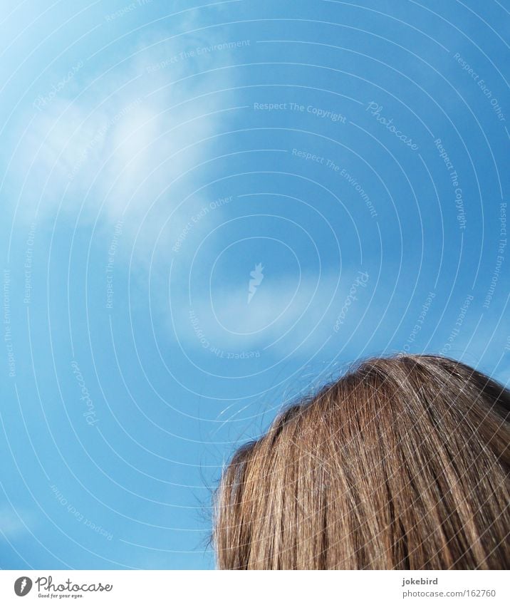 nachgedacht Haare & Frisuren Sommer Kopf Luft Himmel Wolken Schönes Wetter Nebel Wärme Rauch Denken träumen glänzend hell oben blau Frühlingsgefühle Vorfreude