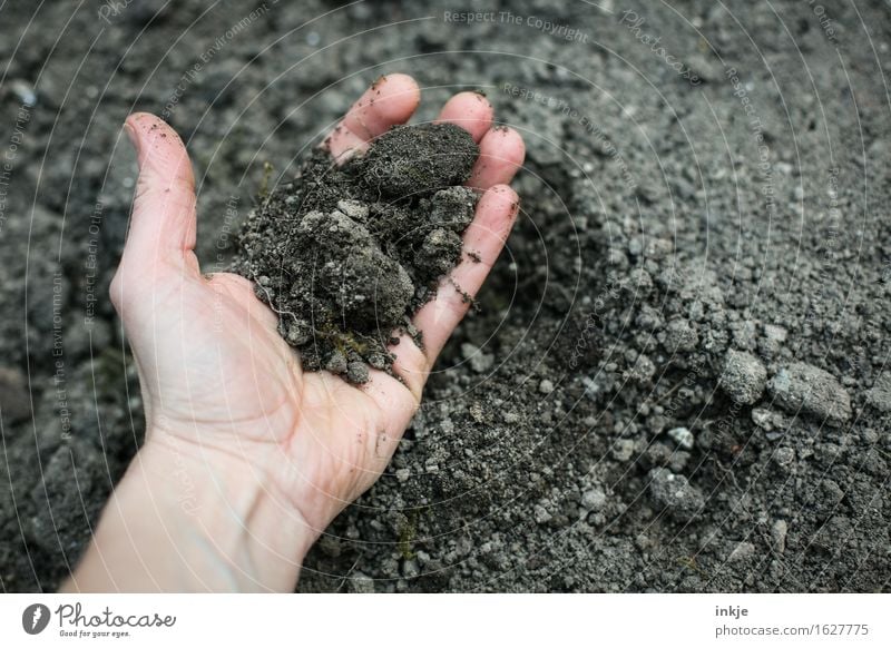 Erde Hand Natur Urelemente Sommer Park Feld festhalten dreckig einfach frisch braun grau schwarz Kontrolle Sinnesorgane handvoll nehmen Boden matschen Farbfoto