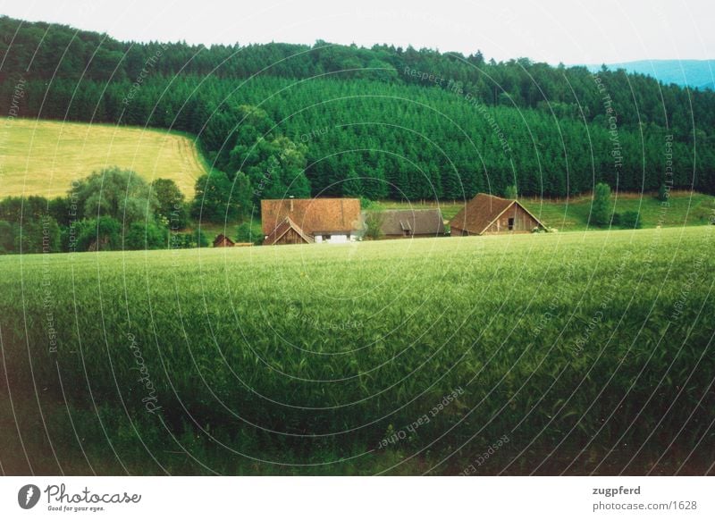 Bauernhof Haus Wald Feld