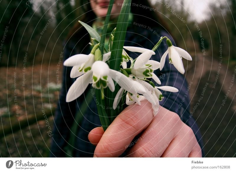 Für dich :) Schneeglöckchen Frühling Blume Geschenk Freude danke schön Entschuldigung Versöhnung Blumenstrauß Pflanze Natur grün Frau Tag lachen Lächeln