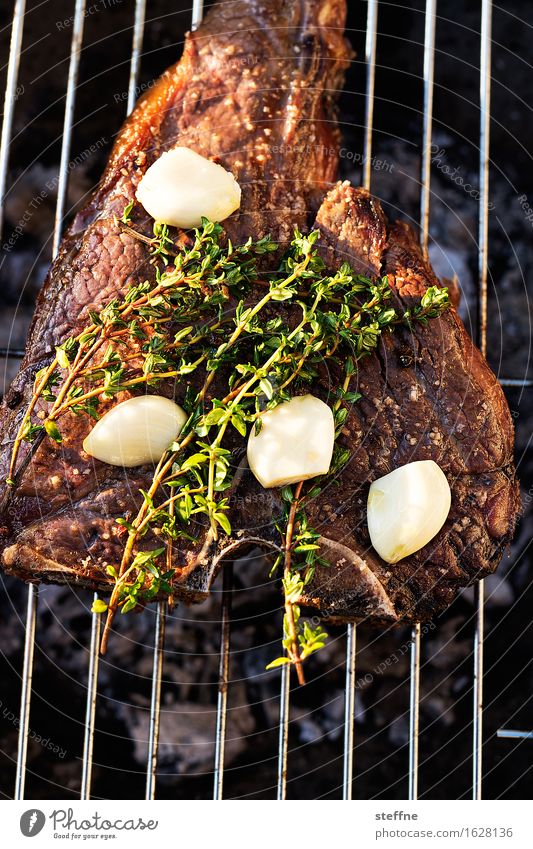 Grillabend Lebensmittel Fleisch Ernährung Festessen trendy Steak dry aged t-bone Grillen Knoblauch Thymian Farbfoto Außenaufnahme Textfreiraum unten