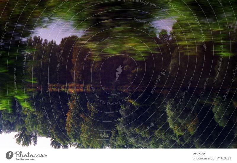 Sturmgestürm Wald See Baum Reflexion & Spiegelung Natur Geschwindigkeit Umwelt Himmel Blatt Wasser Teich Gewässer Alkoholisiert Rausch analog