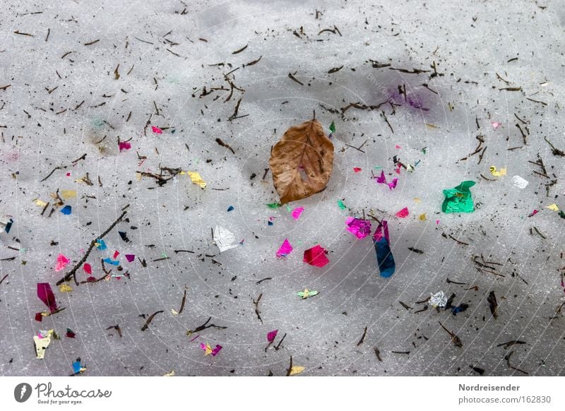 So ein Wald ist aber auch bunt Schnee Winter Konfetti Blatt Licht Schatten Farbe Müll dreckig Silvester u. Neujahr Karneval