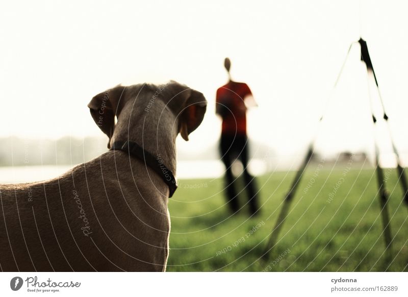 [DD|Apr|09] Aufmerksam Wiese Stativ Paar Silhouette Sehnsucht Frühling Zusammensein Vertrauen Mensch Ferne Unschärfe Wachsamkeit Hund hören Natur gehorchen