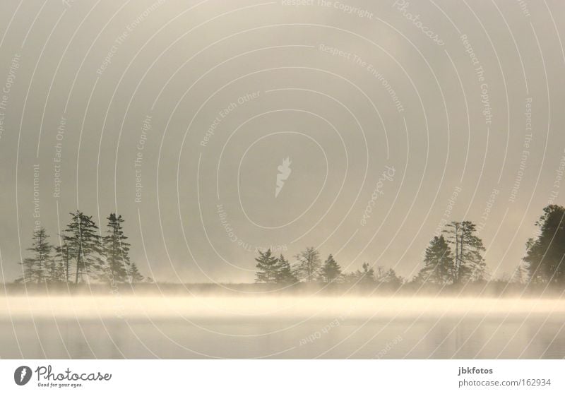 Ein Morgen in Kanada See Nebel Sonnenaufgang Baum Silhouette Reflexion & Spiegelung Spiegelbild Wasser Urelemente Licht Schatten Einsamkeit Wolken Angst Panik