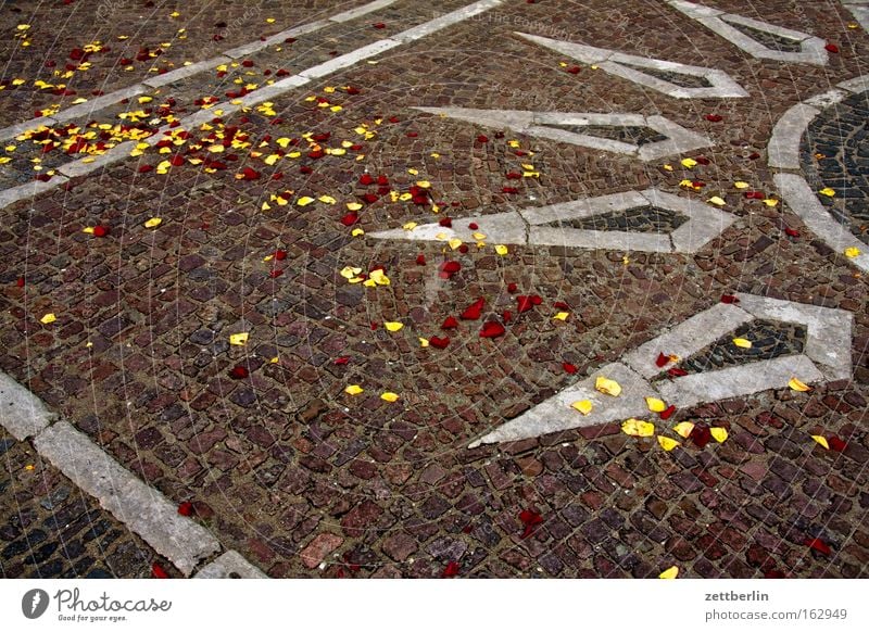 Rosenblätter Sonne Sonnenstrahlen Blütenblatt Feste & Feiern Geburtstag Frühling Mosaik Platz Verkehrswege Stein Mineralien brautzug Pflastersteine