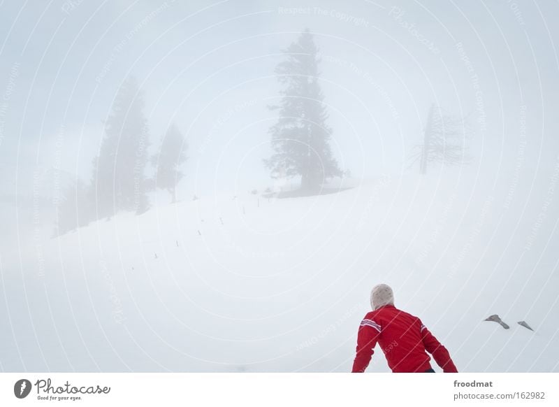 800 - wo geht's lang Nebel Berge u. Gebirge Schweiz Suche Sturm kalt Winter Baum Surrealismus Himmel sehr wenige trist Rücken