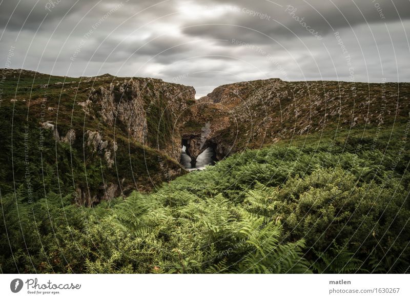 bufones Umwelt Natur Landschaft Pflanze Himmel Wolken Horizont Sommer Wetter schlechtes Wetter Sträucher Moos Farn Hügel Felsen Schlucht Wellen Meer