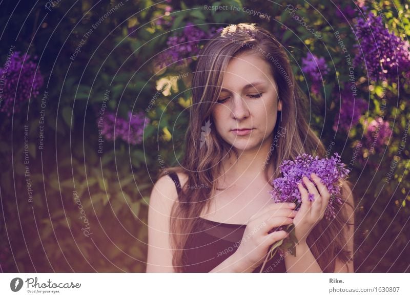 Ein wenig Romantik. Mensch feminin Junge Frau Jugendliche Erwachsene 1 18-30 Jahre Umwelt Natur Pflanze Sommer Blume Sträucher Blüte Fliederbusch Garten Park